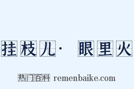 挂枝儿·眼里火是什么意思的图片